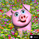 Salihxvzz adlı kullanıcı